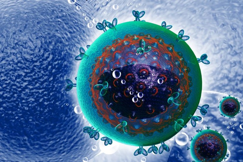 Opracowano nowy sposób walki z wirusem HIV? /123RF/PICSEL