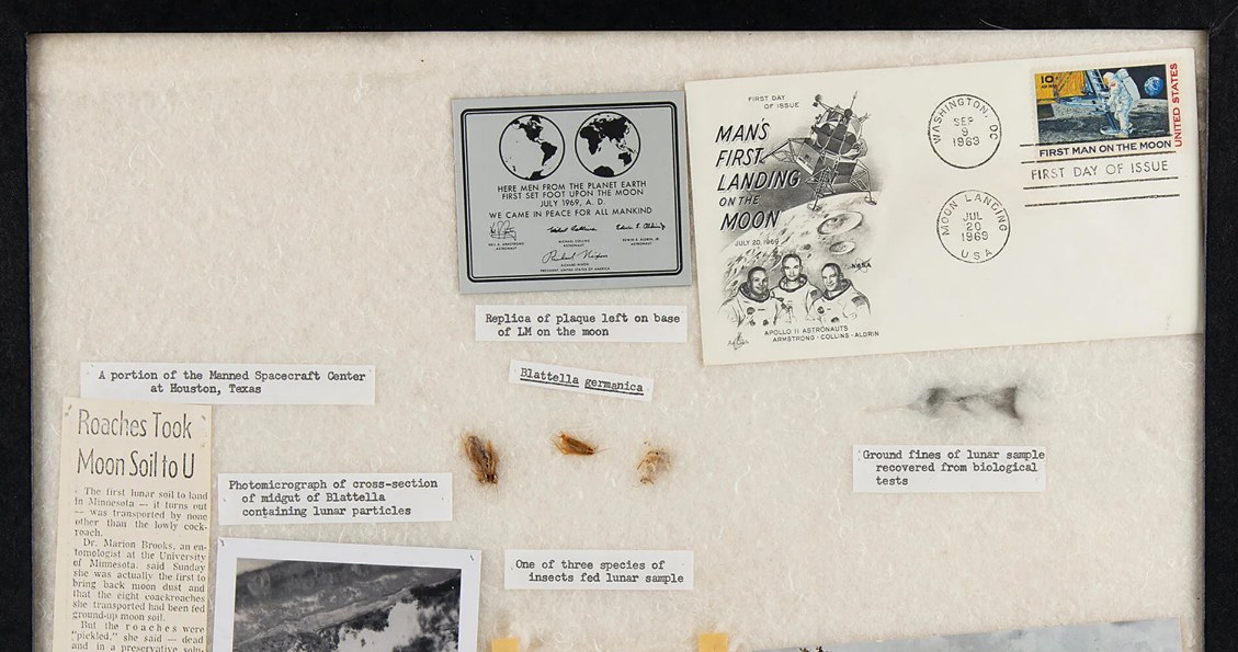 Oprócz karaluchów w gablocie jest artykuł z 1970 roku  o eksperymencie NASA  / foto: rrauction.com /domena publiczna