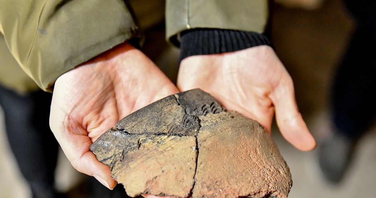 Oprócz tego znaleziono ceramikę słowiańską charakterystyczną dla pierwszej połowy X wieku /Muzeum Gdańska /materiały prasowe