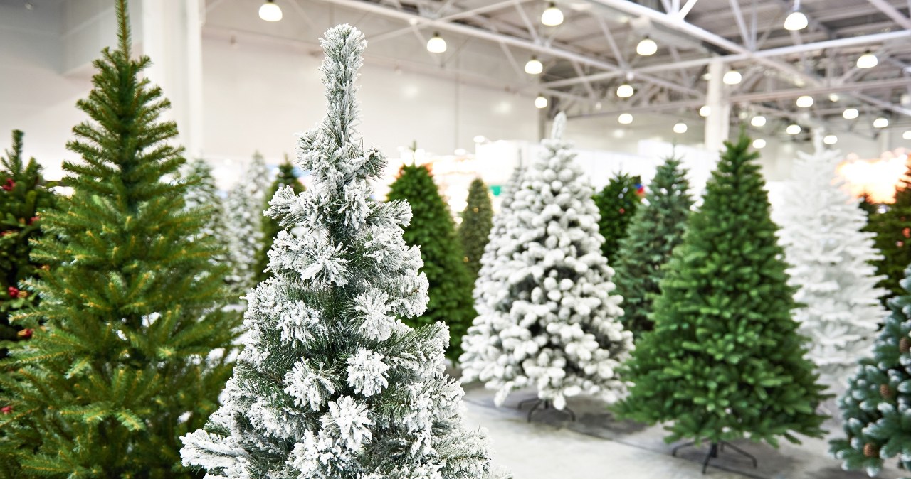Oprószone śniegiem drzewka i stroiki wprowadzają nas w klimat zimowych świąt. Trzeba jednak uważać, by sztuczny śnieg nie zaszkodził prawdziwym roślinom. /Pixel