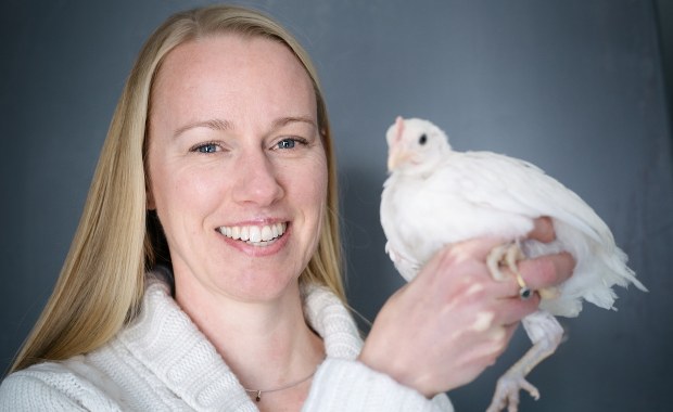 Optymistyczne kury widzą szklankę do połowy pełną