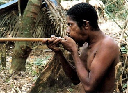 Orang Asli nadal polują na zwierzynę za pomocą maleńkich zatrutych strzał wydmuchiwanych z rurek /MWMedia