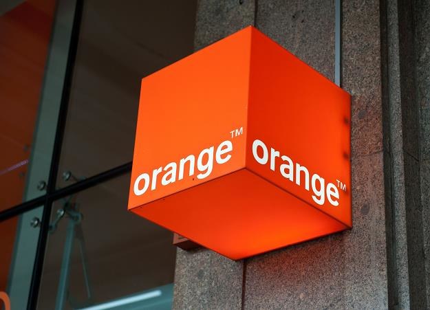 Orange wycofuje się z przedłużenia częstotliwości 450 MHz. Fot. Bartosz Krupa /Agencja SE/East News