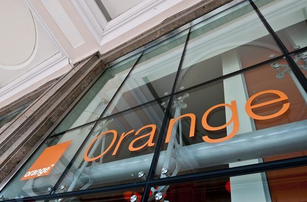 Orange zaczyna inwestować w LTE, fot. Justyna Rojek /East News