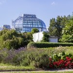 Oranżeria w ogrodzie botanicznym UJ. Coraz bliżej jej odbudowy