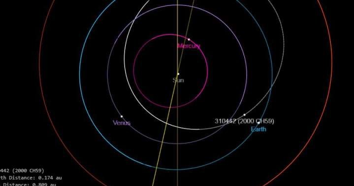 Orbita asteroidy została zaznaczona na biało /NASA
