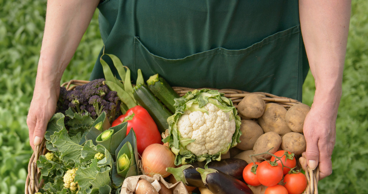 organiczna żywność /© Photogenica