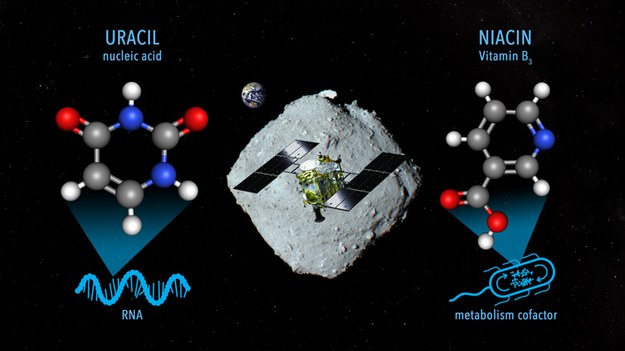 Organiczne cząsteczki chemiczne odkryte w próbkach gruntu planetoidy Ryugu /NASA Goddard/JAXA/Dan Gallagher /Materiały prasowe