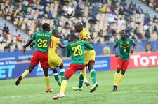 Organizatorzy Mistrzostw Narodów Afryki oskarżeni o czary. Chodzi o nietoperza