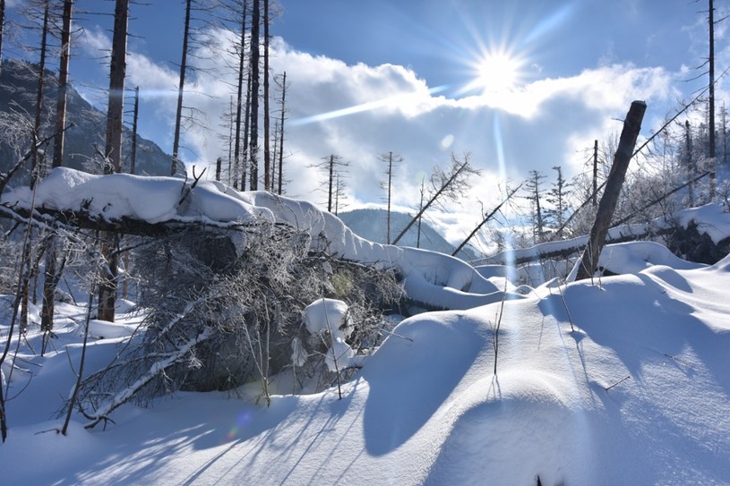 Orientacja w terenie jest kluczem do bezpieczeństwa w górach - szczególnie zimą /East News