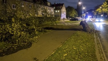 Orkan Ksawery nad Polską. Nie żyją dwie osoby. Ponad sześć tysięcy strażackich interwencji 