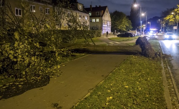 Orkan Ksawery nad Polską. Nie żyją dwie osoby. Ponad sześć tysięcy strażackich interwencji 