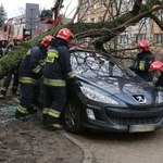 Orkan Otto nad Polską. Jak uzyskać odszkodowanie, gdy drzewo uszkodzi samochód?