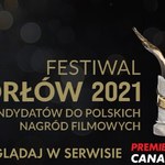 Orły 2021: Nominowane do nagrody filmy będzie można zobaczyć online