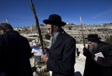 Ortodoksyjni żydzi doczekali się własnej wyszukiwarki /AFP