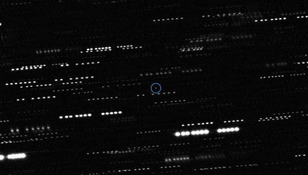 Oryginalny obraz planetoidy ‘Oumuamua /ESO/K. Meech et al. /Materiały prasowe