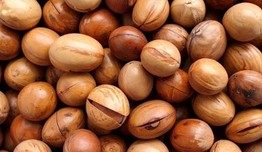 Orzech, który działa jak podwójne espresso. Dodaje energii, pomaga się skupić