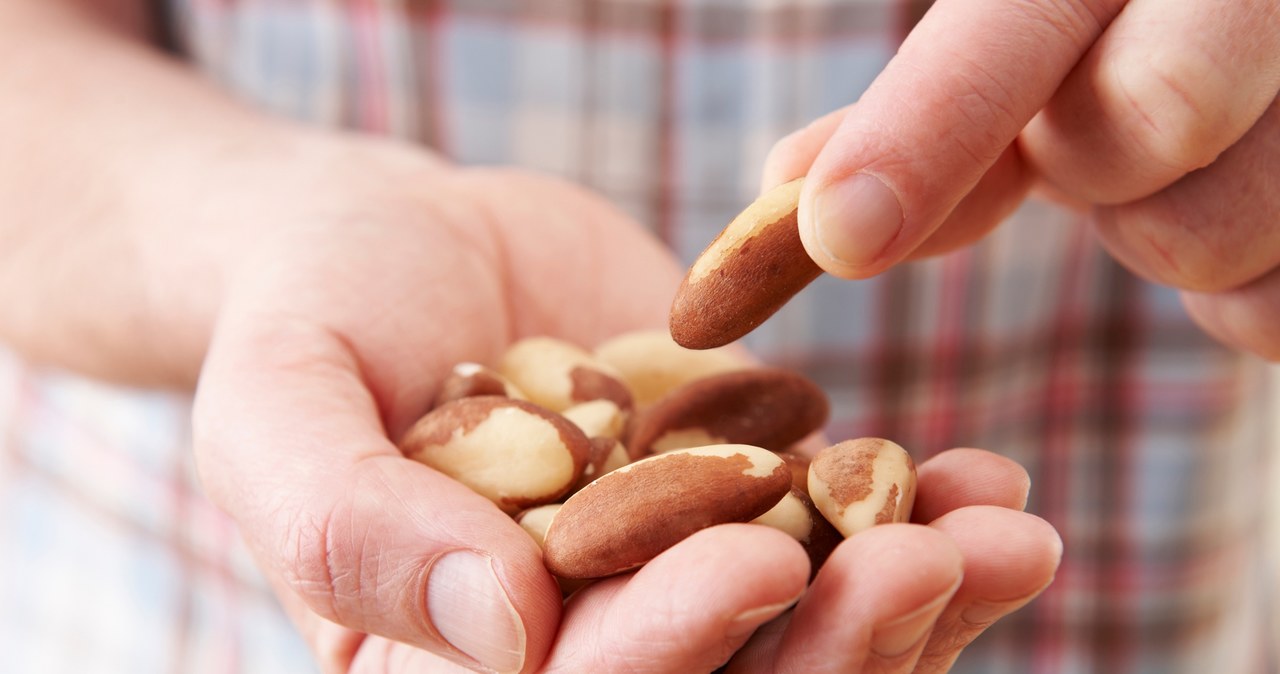 Orzechy brazylijskie obniżają cholesterol, wzmacniają odporność i poprawiają nastrój /123RF/PICSEL