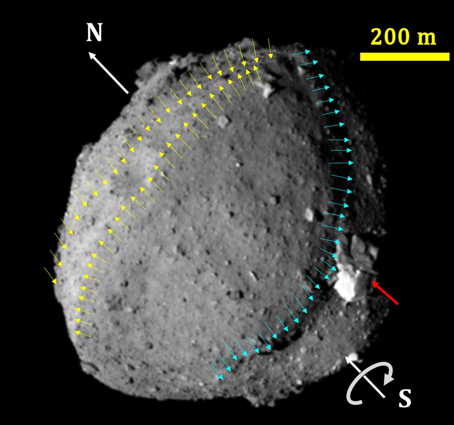 Oś obrotu Ryugu. Strzałkami oznaczono wieksze formy terenu, m.im. równikowy grzbiet /© 2019 Seiji Sugita et al., Science /Materiały prasowe