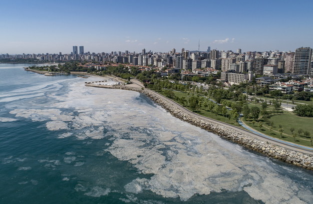 Osad widoczny na Morzu Marmara /ERDEM SAHIN /PAP/EPA