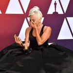 Oscary 2019: Lady Gaga i Rami Malek z nagrodami