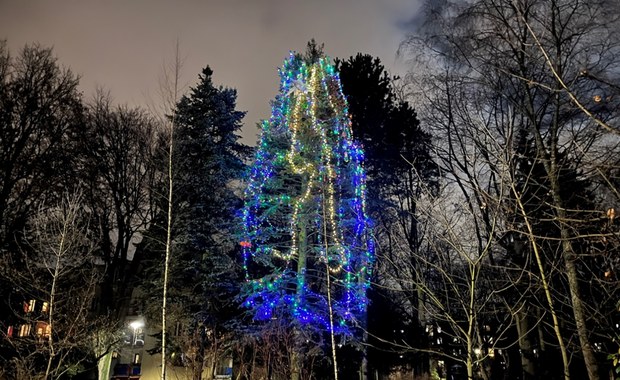 Osiedlowa choinka w Lublinie. "Okazja do spotkania się z sąsiadami"