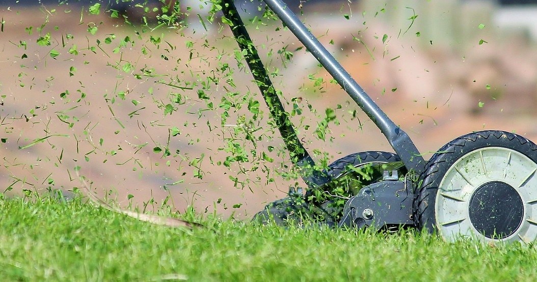 Осіннє піскування - процедура, завдяки якій ваш газон буде ідеальним навесні /pixabay.com