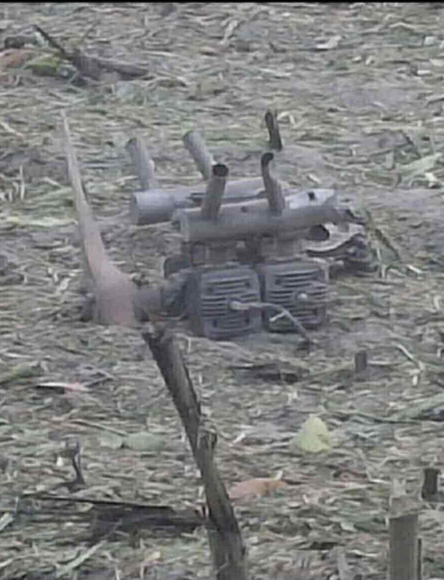 Osiny k. Łukowa. Zdjęcie tajemniczego obiektu na polu kukurydzy. /Gorąca Linia RMF FM