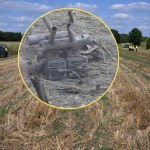 Osiny: Napis na dronie "prawdopodobnie w języku koreańskim"