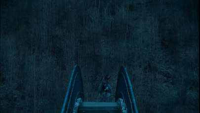 Osiołek, który podbija świat. Takunio z Polski powalczy o Oscara