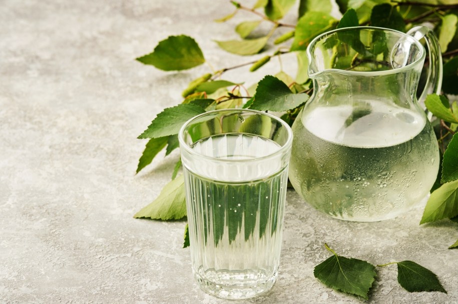 Oskoła – cudowny sok z brzozy /Shutterstock