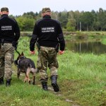 Ośmiu Afgańczyków przekroczyło nielegalnie polską granicę