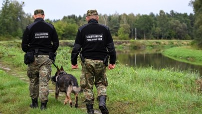 Ośmiu Afgańczyków przekroczyło nielegalnie polską granicę
