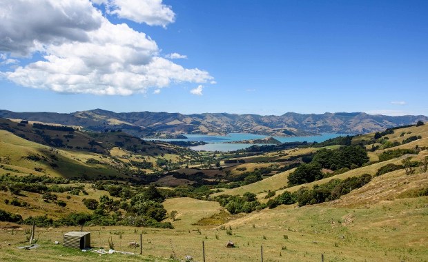 Ósmy kontynent? Proszę bardzo: Zelandia