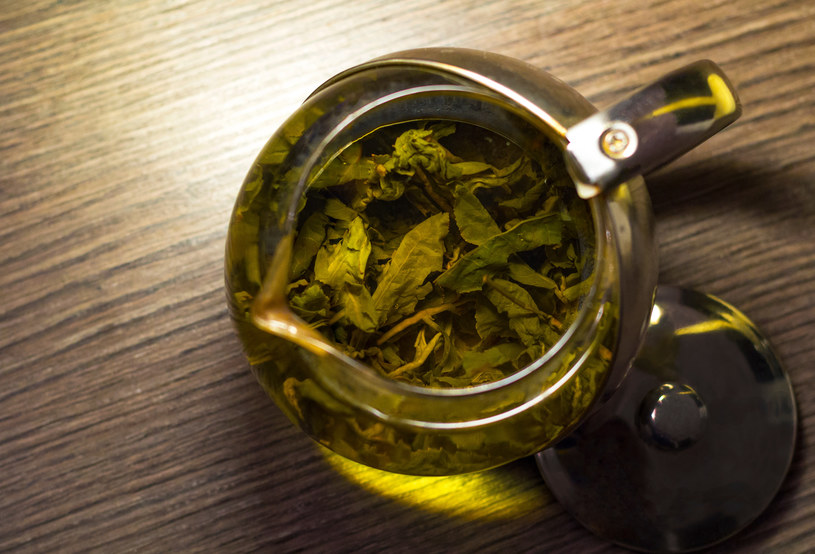 Osoby zdrowe nie powinny pić więcej niż osiem filiżanek zielonej herbaty dziennie /123RF/PICSEL