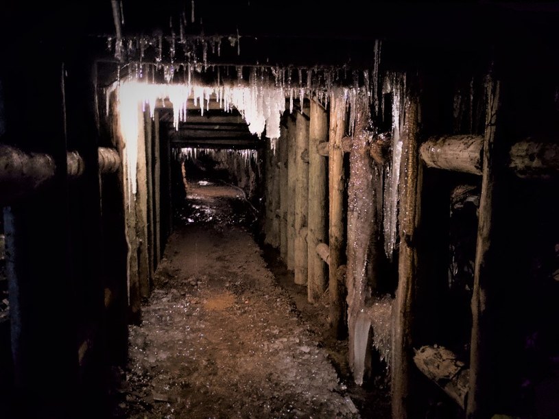 „Osówka” to hitlerowski kompleks w Górach Sowich, którego tunele drążyli w tragicznych warunkach więźniowie niemieckich obozów koncentracyjnych /Bartek Paulus /RMF FM