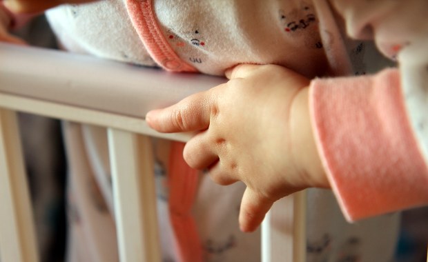 Ośrodek adopcyjny w Wodzisławiu Śląskim uratowany! Pomogli rodzice