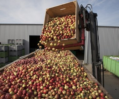 Ośrodek wsparcia rolnictwa przejął produkty i sprzęt Eskimosa