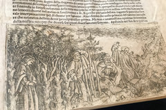 Ossolineum pokazało pierwsze ilustrowane wydanie Boskiej komedii. Ma ponad 500 lat