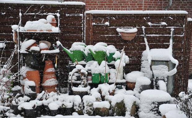 Ostatni dzwonek na prace w ogrodzie! Sprawdź 7 rzeczy, które musisz zrobić 