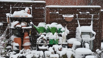 Ostatni dzwonek na prace w ogrodzie! Sprawdź 7 rzeczy, które musisz zrobić 