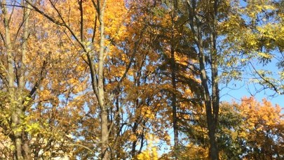 Ostatni tak ciepły poniedziałek w tym roku? Nawet 23 stopnie na południu Polski