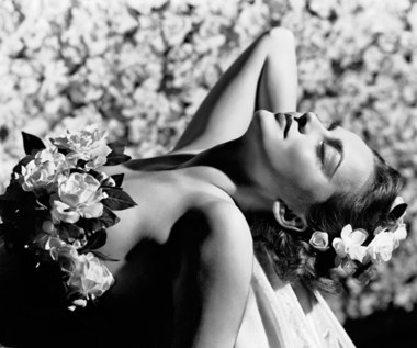 Ostatnia żyjąca gwiazda "Przeminęło z wiatrem". Olivia de Havilland kończy 104 lata