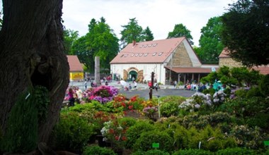 ​Ostatnie dni na odwiedzenie tego miejsca. Jesienią jest po prostu piękne