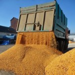 Ostra krytyka umowy handlowej z Ukrainą. Lider Konfederacji wylicza