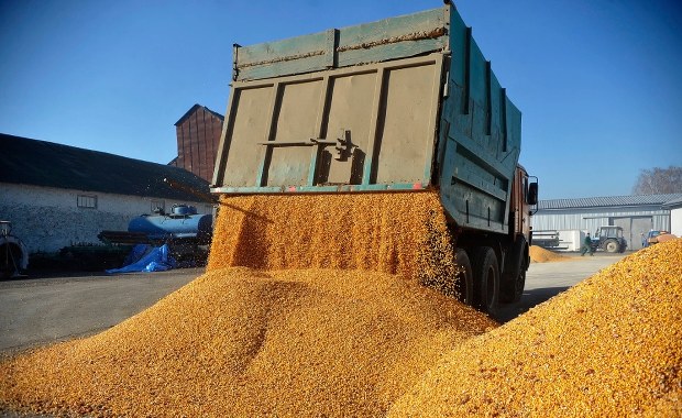 Ostra krytyka umowy handlowej z Ukrainą. Lider Konfederacji wylicza