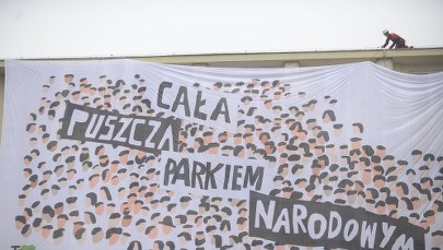 Ostra reakcja KE ws. puszczy. Bruksela pokazuje, jak wiele od niej zależy