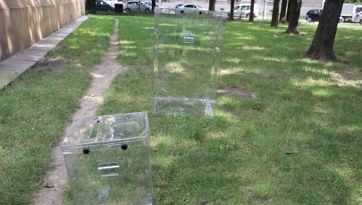 Ostre wyrazy w walce politycznej nie są nieparlamentarne