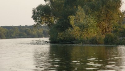 Ostrów Wielkopolski: Nurkowie wyłowili ciało poszukiwanego mężczyzny