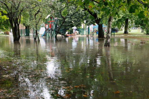 Ostrów Wielkopolski /Tomasz Wojtasik /PAP